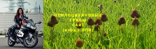 дмт Бронницы