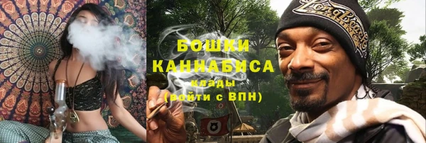 дмт Бронницы