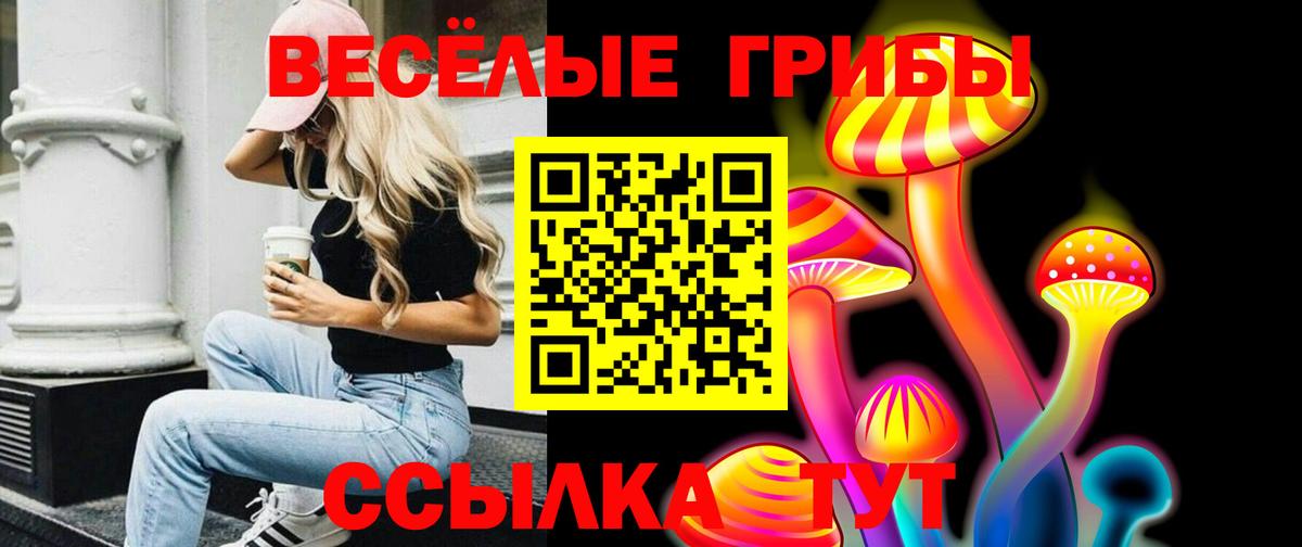 Галлюциногенные грибы прущие грибы Медногорск