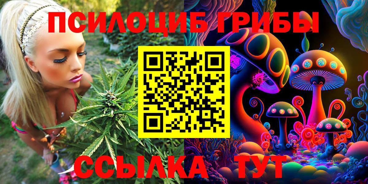 Медногорск  Псилоцибиновые грибы Cubensis  Вход с VPN  Галлюциногенные грибы Psilocybine cubensis 